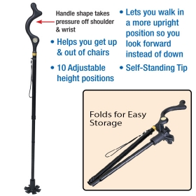 Posture Cane