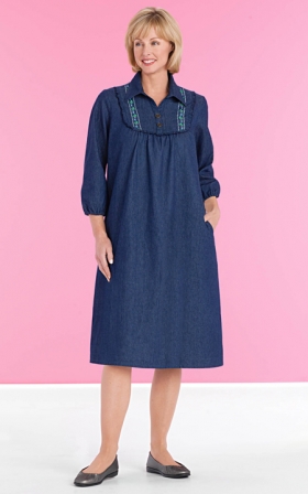 Denim Embroidered Dress