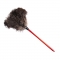 Ostrich Feather Duster