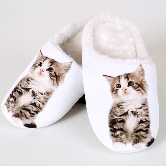 next cat slippers