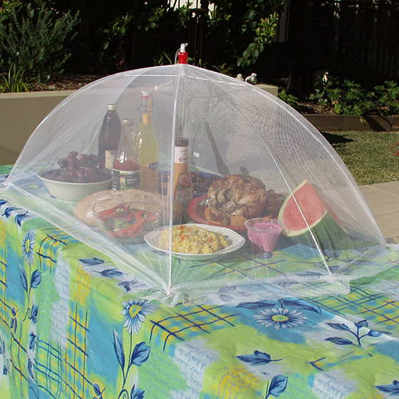 Oversized Picnic Food Umbrella